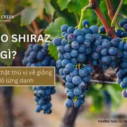 5 sự thật thú vị về bóng đá
