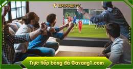ảnh chụp màn hình gà vàng tv trực tiếp bóng đá hôm nay live