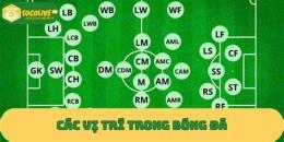 ảnh chụp màn hình tất cả vị trí trong bóng đá