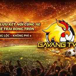 blv gà siêu phê trực tiếp bóng đá