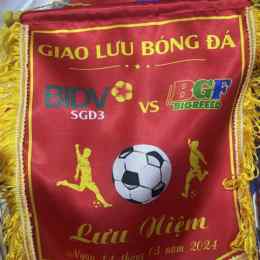bóng đá lưu 24