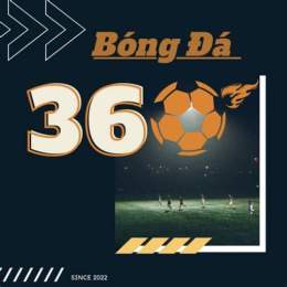 bóng đã số