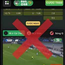 bún chả tv bóng đá hôm nay
