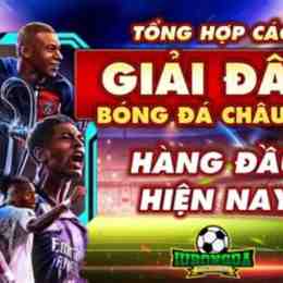 các giải bóng đá châu âu
