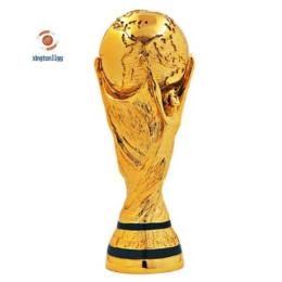 cúp bóng đá brazil