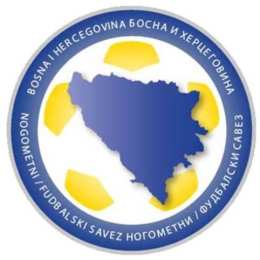 đội tuyển bóng đá quốc gia bosna và hercegovina