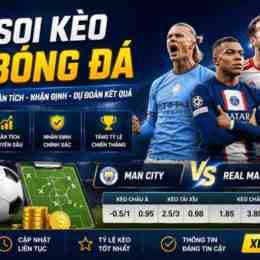 dự đoán bóng đá đức