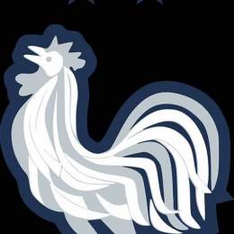 france bóng đá