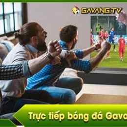 gà vàng bóng đá trực tiếp