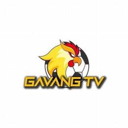 gà vàng tv bóng đá