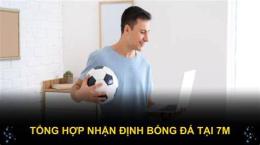 giao diện app bóng đá 7m ma cao