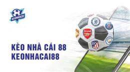 giao diện app bong da 888 keo nha cai