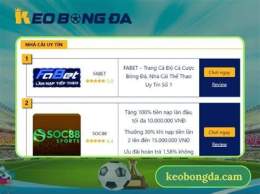 giao diện app bóng đá kèo nhà