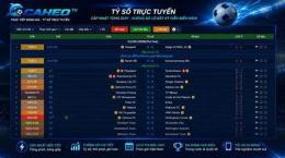 giao diện app bóng đá wap vn livescore