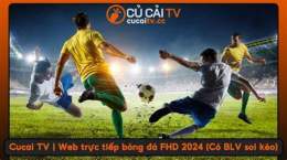 giao diện app cucai tv bóng đá
