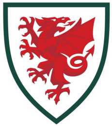 giao diện app đội tuyển bóng đá quốc gia wales