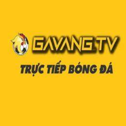 giao diện app gavangtv truc tiep bong da