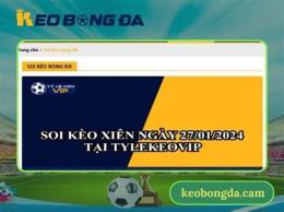 giao diện app kèo bóng đá asian