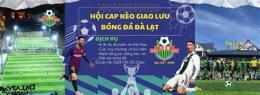 giao diện app kèo bóng đá lưu
