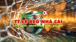 giao diện app keo bong da nha cai hom nay