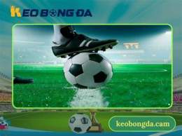 giao diện app kèo bóng đá sanco