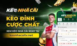 giao diện app keo nhà cái trực tiếp bóng đá