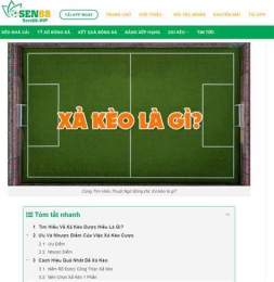 giao diện app keo qua bong da