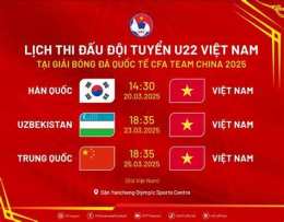 giao diện app lịch đá bóng việt nam 2025