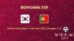 giao diện app soi kèo bóng đá bồ đào nha