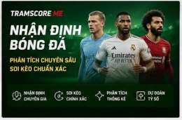 giao diện app tramscore com livescore bong da