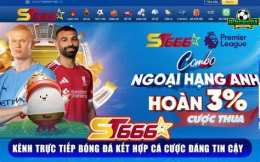 giao diện app trực tiếp bóng đá futsal