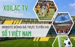 giao diện app trực tiếp bóng đá trên xôi lạc tv
