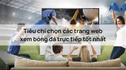 giao diện app web xem đá bóng