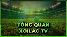 giao diện app xoilac tv 90 phút trực tiếp bóng đá