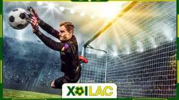 giao diện app xoilac tv bong da