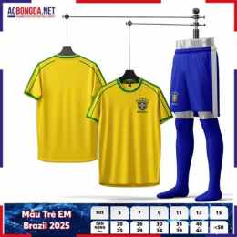 hướng dẫn sử dụng áo đá bóng brazil