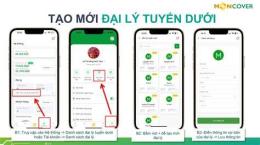hướng dẫn sử dụng app cược bóng đá