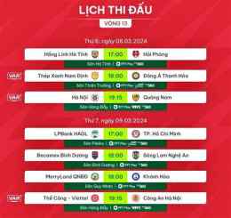 hướng dẫn sử dụng bóng đá 24h hôm nay