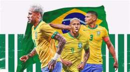 hướng dẫn sử dụng bong da brazil