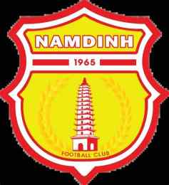 hướng dẫn sử dụng bong da nam dinh