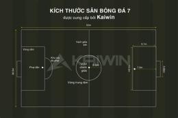 hướng dẫn sử dụng bóng đá sân 7