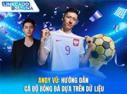 hướng dẫn sử dụng bóng đá số dữ liệu mới nhất
