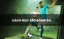 hướng dẫn sử dụng bóng đá tỷ lệ trực tiếp