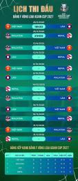 hướng dẫn sử dụng bóng đá việt nam mấy giờ đá