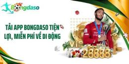 hướng dẫn sử dụng bongdaso - bóng đá số - dữ liệu