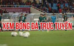 hướng dẫn sử dụng bunchatv bóng đá