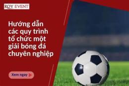 hướng dẫn sử dụng chuyên gia bóng đá