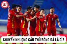 hướng dẫn sử dụng chuyển nhượng bóng đá hải phòng