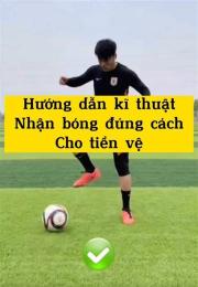 hướng dẫn sử dụng đá bóng đá