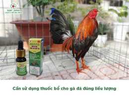 hướng dẫn sử dụng đá gà sa bông 67